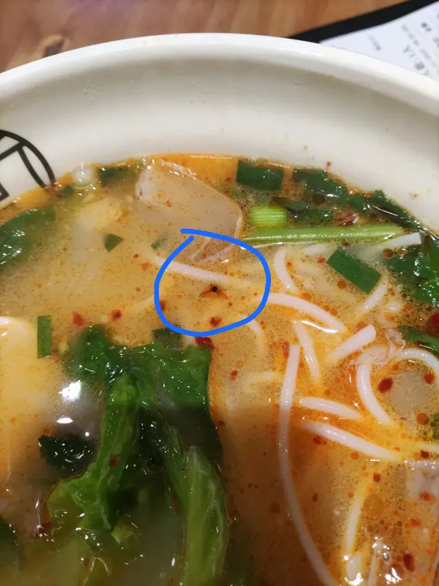 腳和翼都清晰可見。