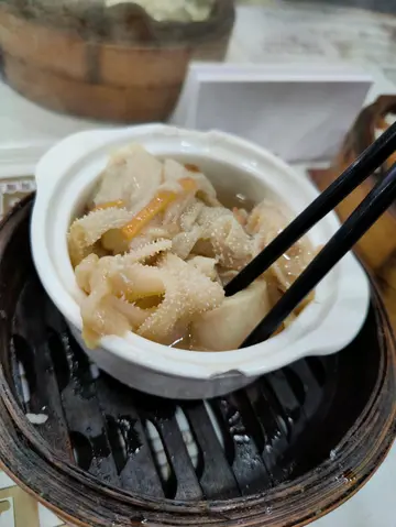 七彩薑絲牛柏葉