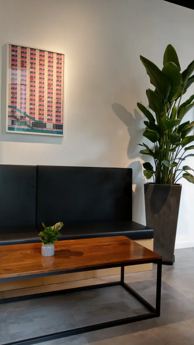 店內有綠色植物綠化環境!