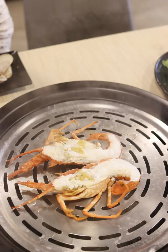澳洲青年龍蝦