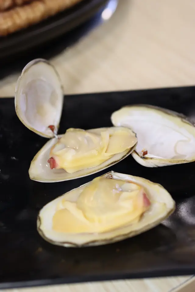 紐西蘭刀具蚌
