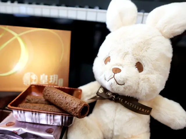 岩鹽朱古力蛋卷