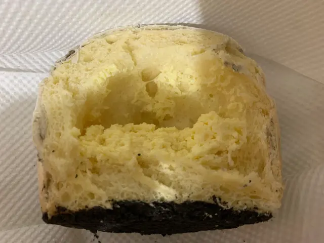 黑帝斯