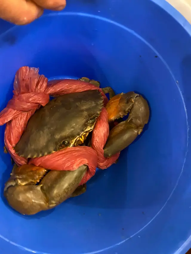 避風塘豉椒炒大肉蟹