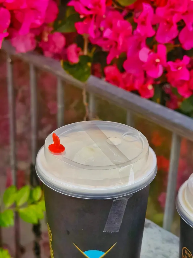 芝雪西瓜綠茶Q凍