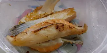 烧三文鱼鳍