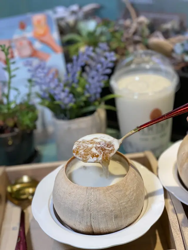 椰皇桃膠燉雙皮奶