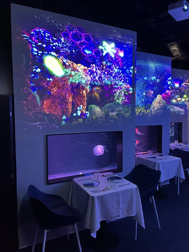 部分餐枱旁有水母伴著大家