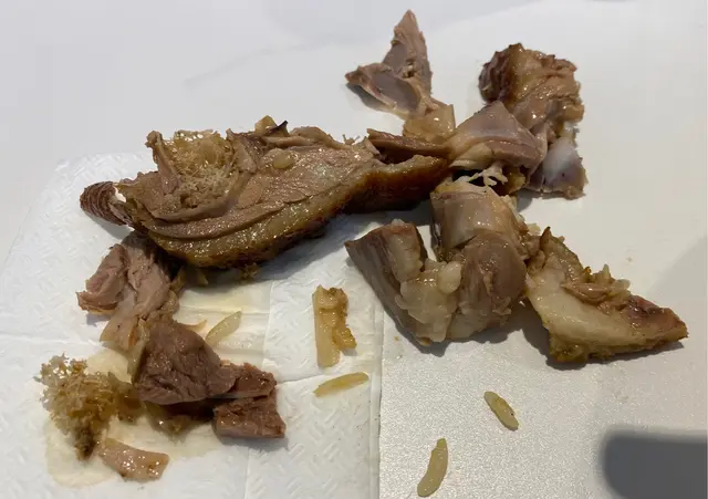 B.  獅頭鵝肉飯套餐