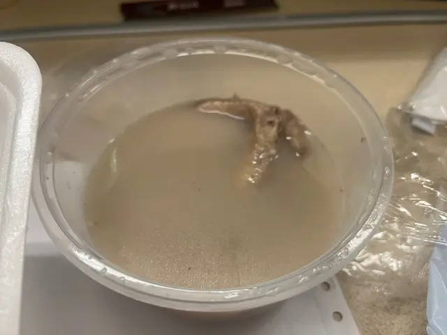 好濃好味,無味精