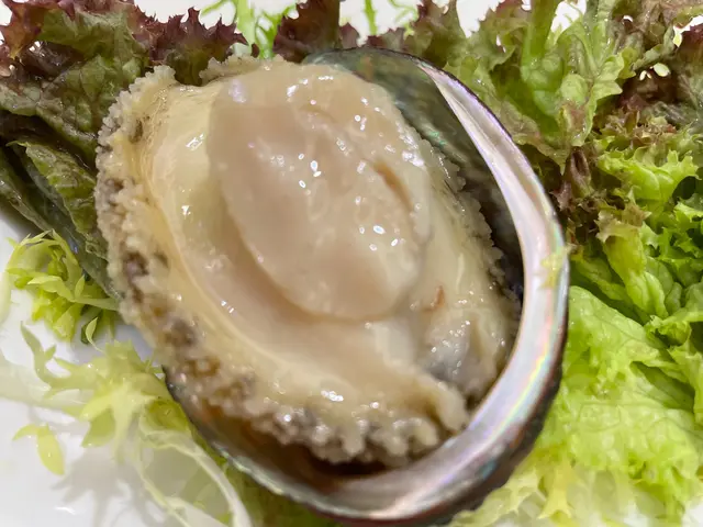 冰震鮑魚