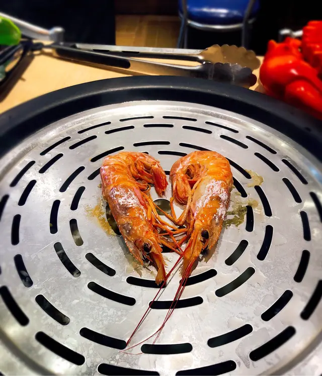 日本野生大赤蝦