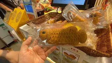 金龍魚