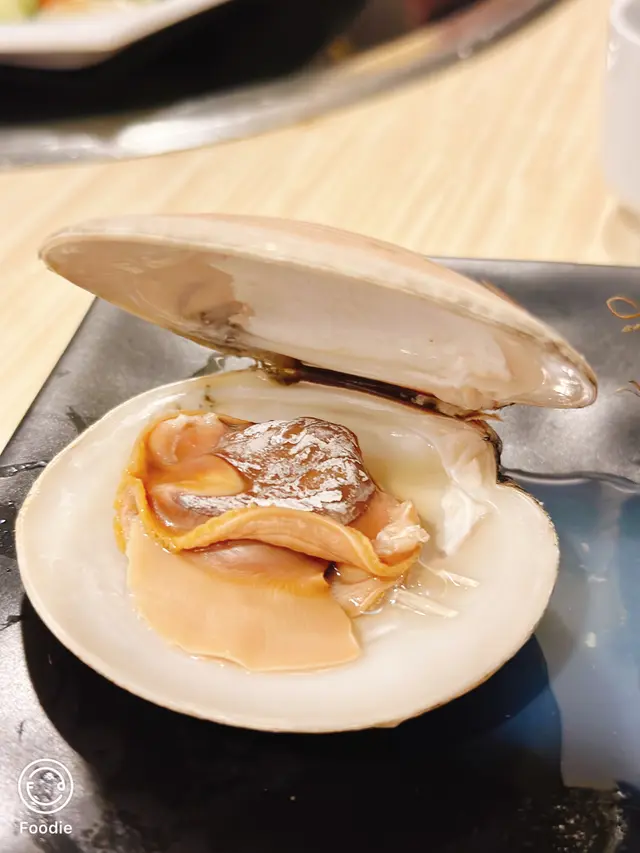 紐西蘭月亮貝