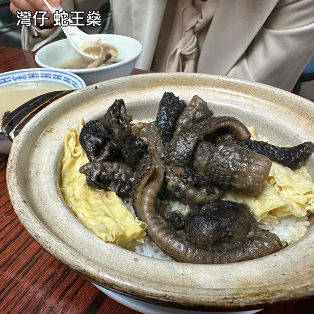 蛇腩煲仔飯