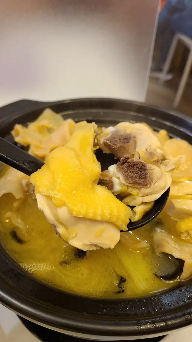 濃湯花膠雞煲