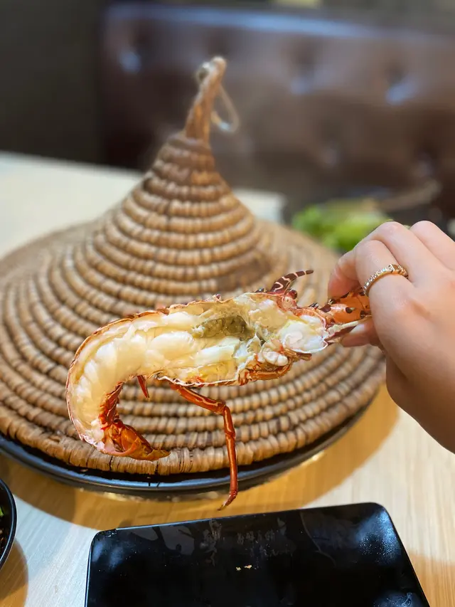 澳洲青年龍蝦