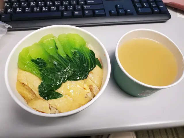 星加坡海南雞飯