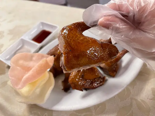 頂鴿
