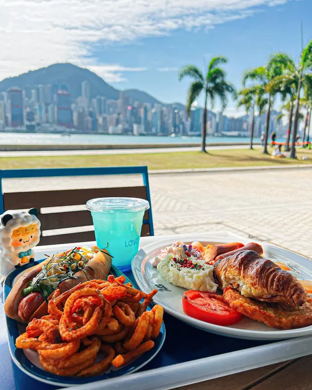 比熊犬+豐盛早餐