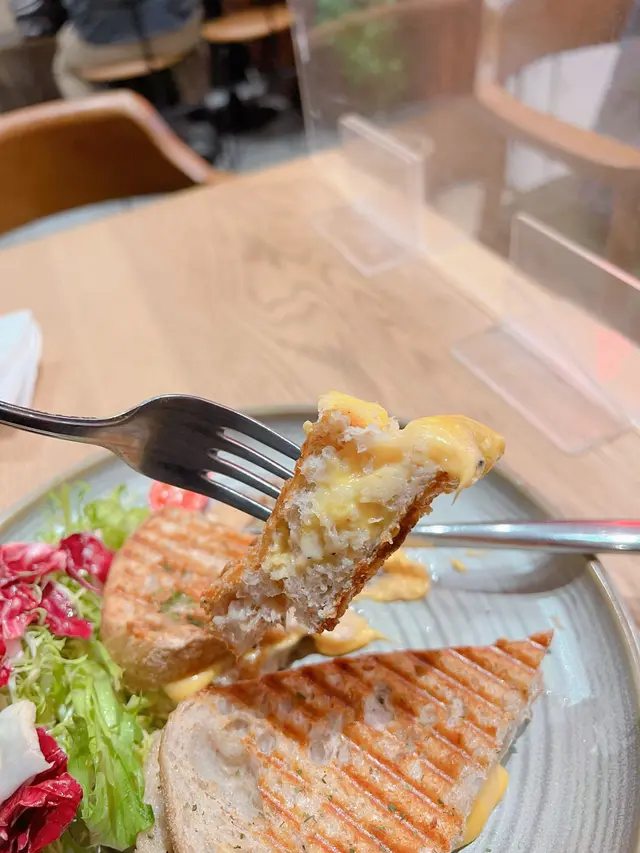 Tuna Melt Sandwich with Salad