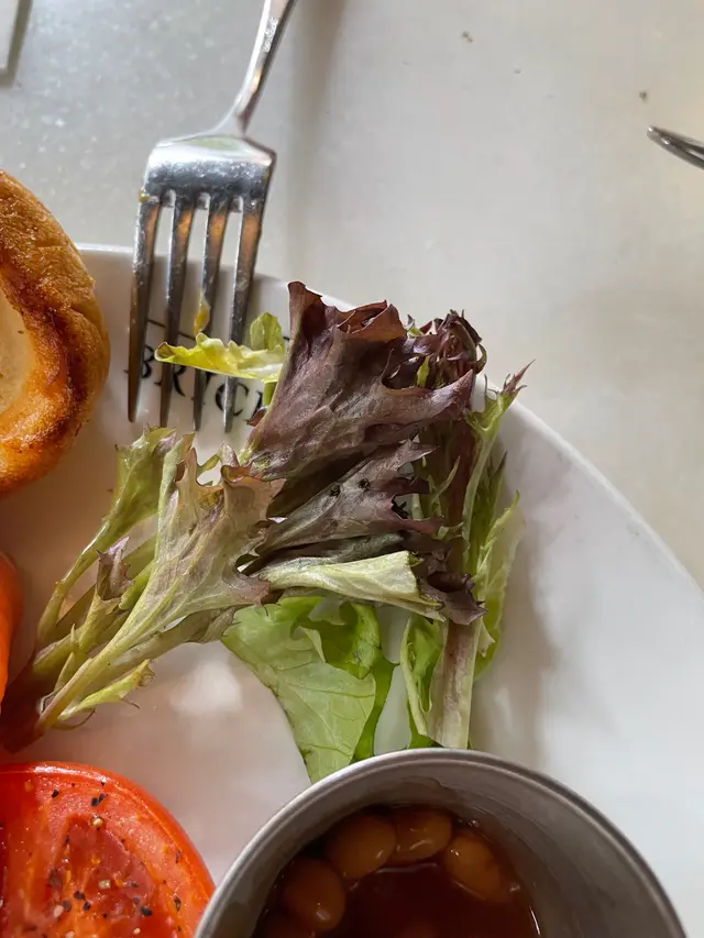 不新鮮全乾掉的沙律菜