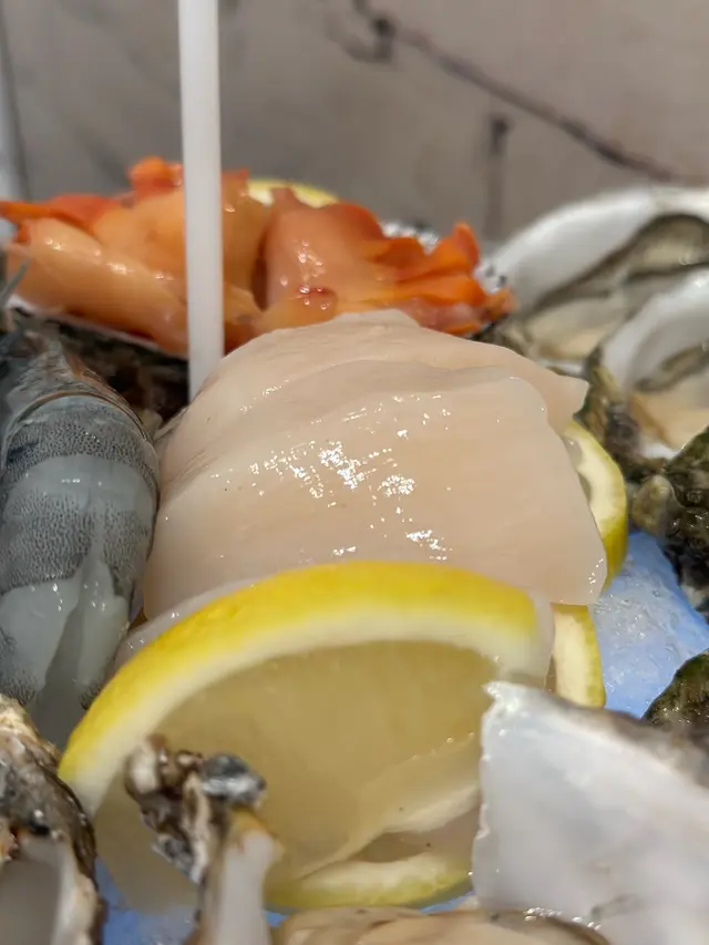北海道帶子