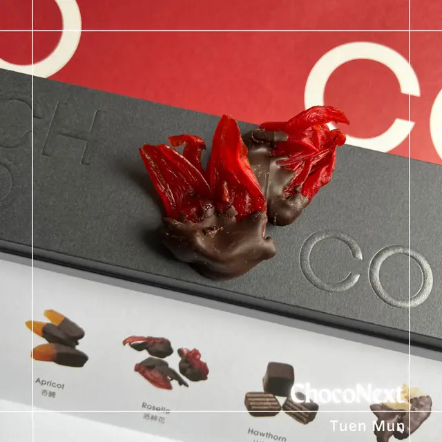 Dried 洛神花朱古力