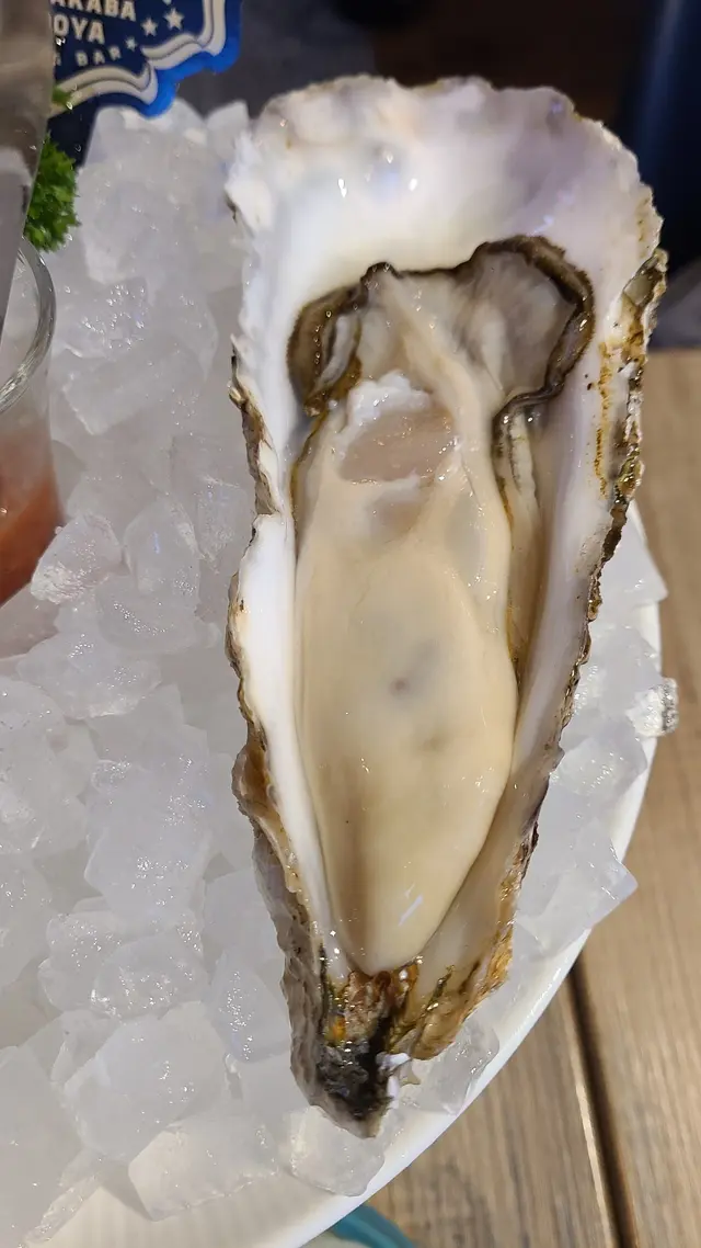 小友陸前高田 大size