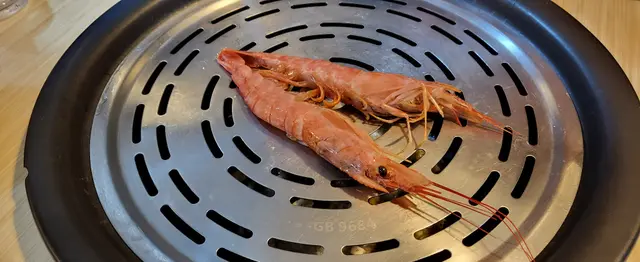 日本野生大赤蝦