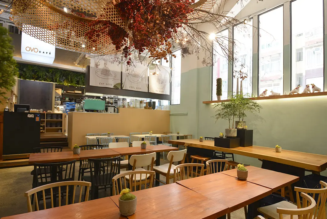 OVO CAFE