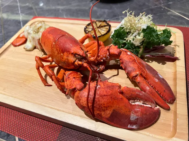 原隻新鮮波士頓龍蝦米多