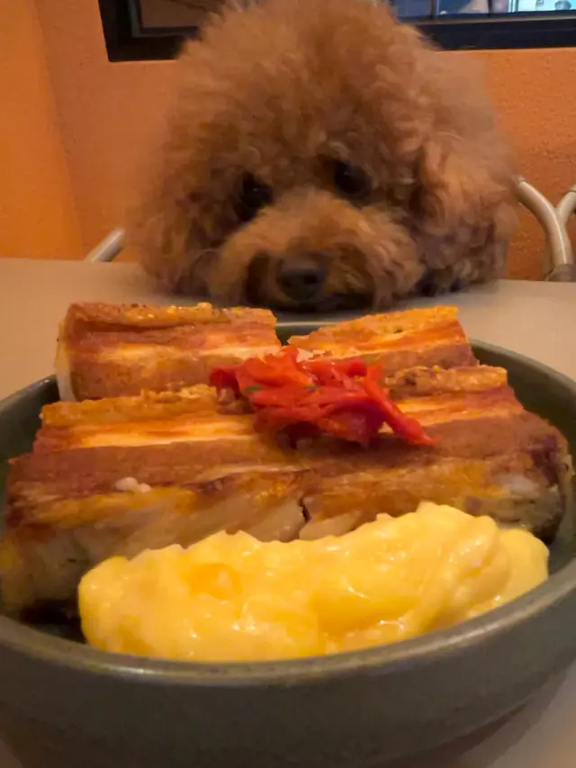 Crispy  Pork  Belly  with  Quince  Aioli