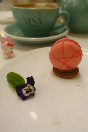 鸿运当头~红桑子马卡龙