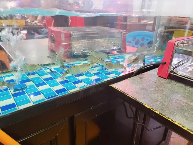好新鮮🙂