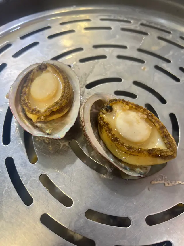 台灣九孔鮑魚