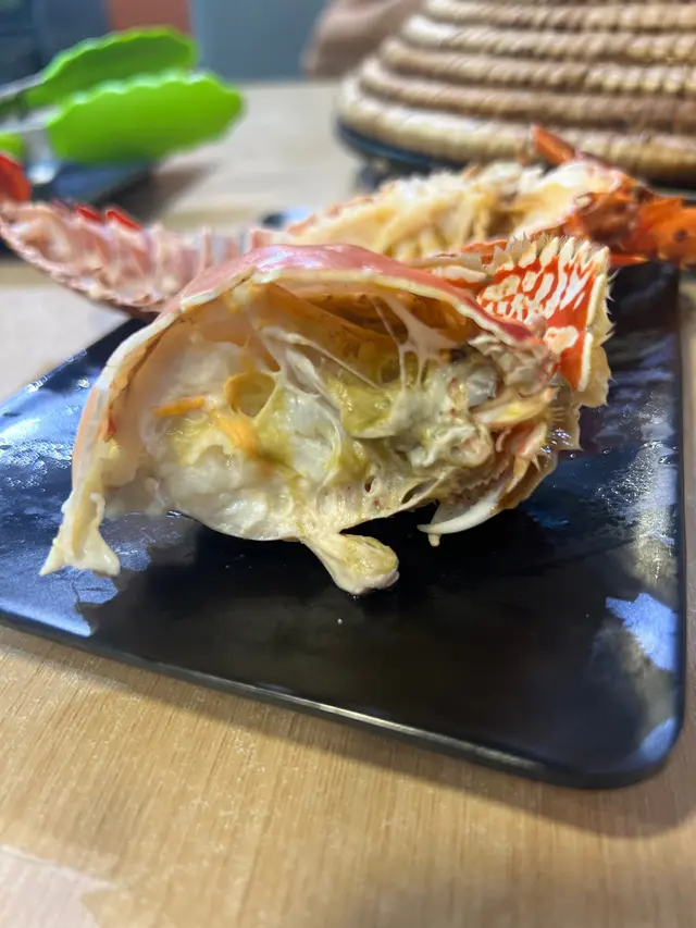 太平洋饅頭蟹 