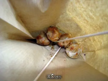 爆汁小籠包(4粒)