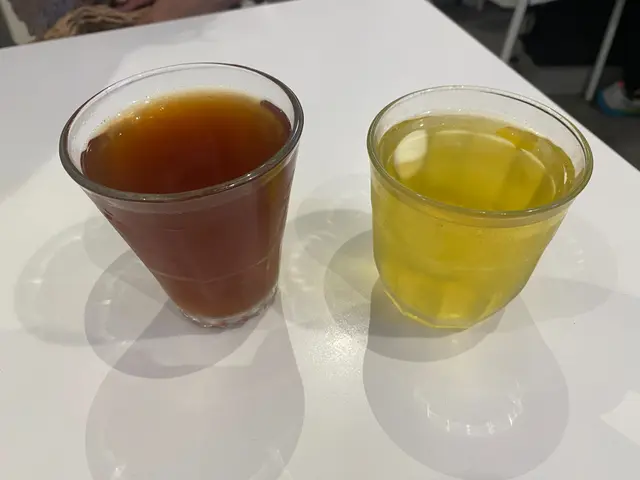 凍水果荼/凍冷泡玄米茶