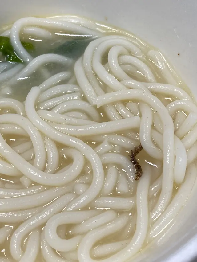 有菜蟲