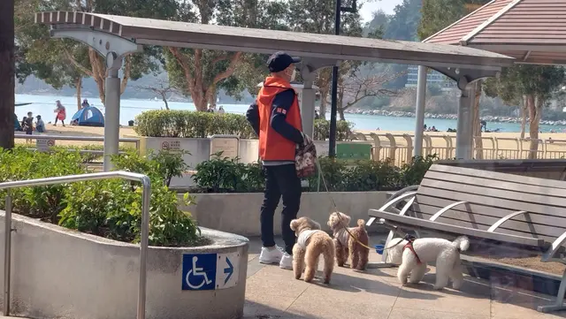 對住耀眼的太陽光及淺水灣泳灘,環境優美,令人心曠神怡