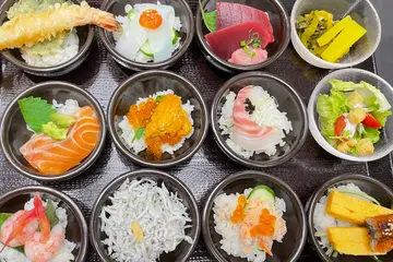 多彩海鲜丼#10种