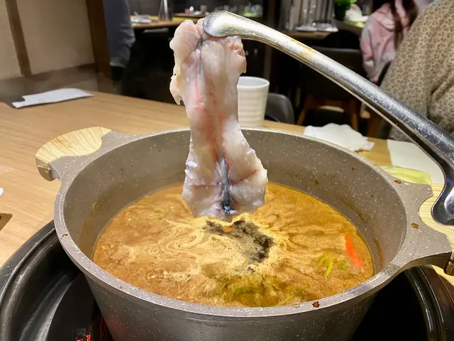 白鱔片