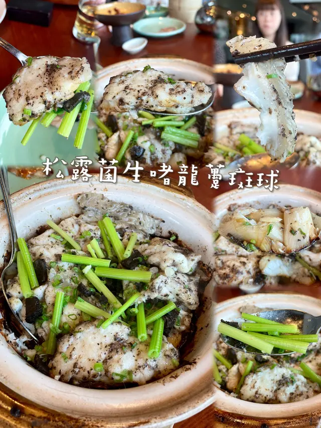 松露菌生啫龍躉斑球