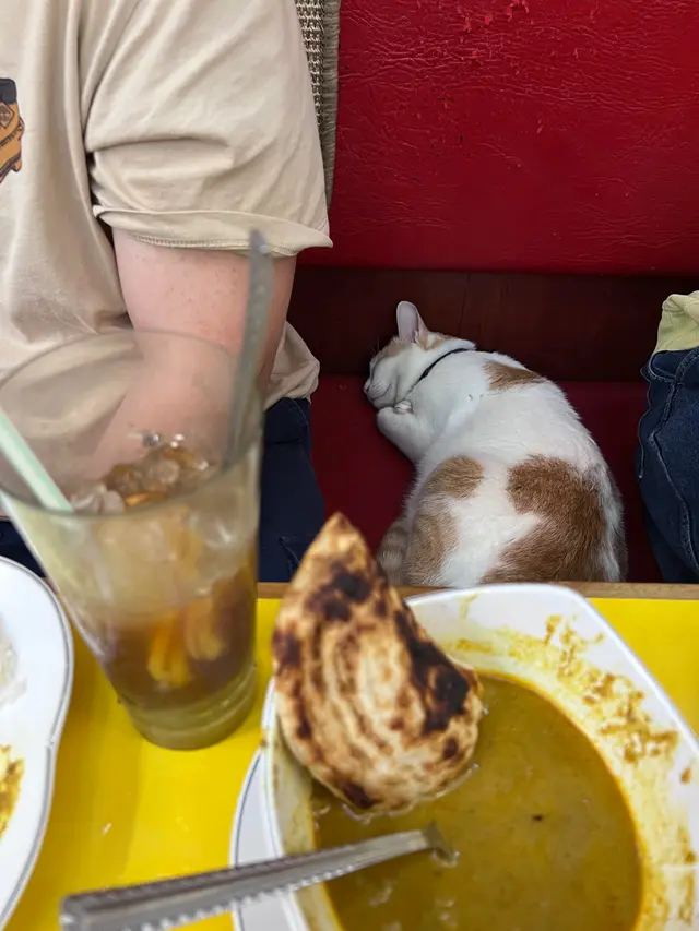 好食到食晒。得返D汁先記得影。但其實都係影緊貓😂