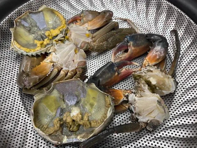 半隻肉蟹(奄仔蟹)