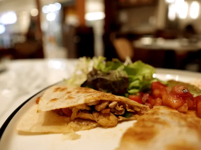 Chicken and cheese quesadilla