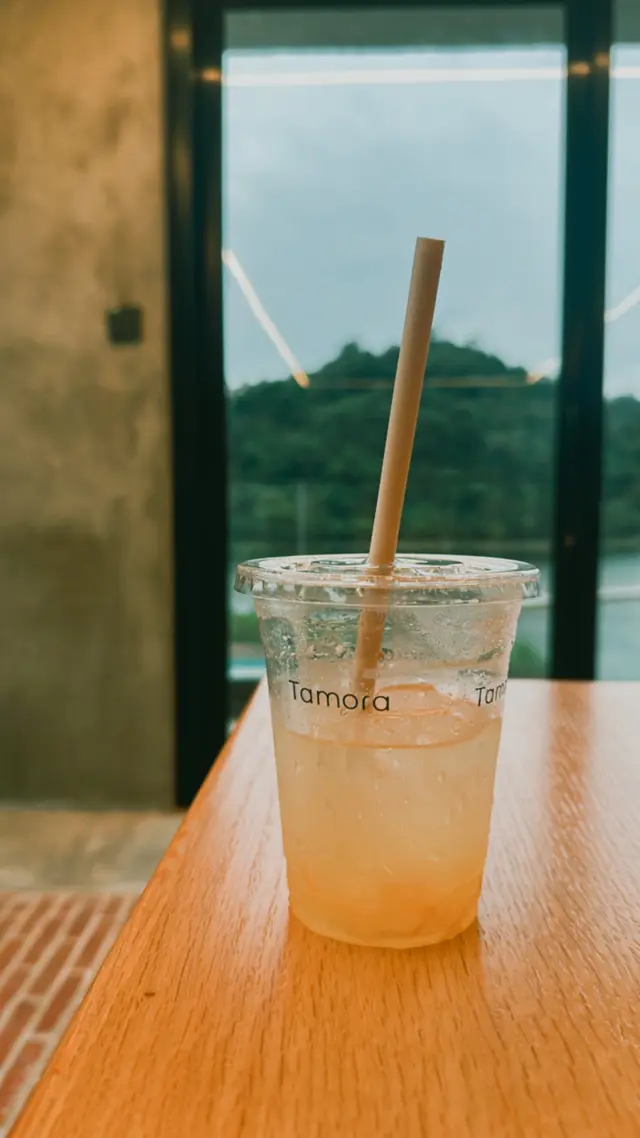 Jeju  Yuzu  Ade