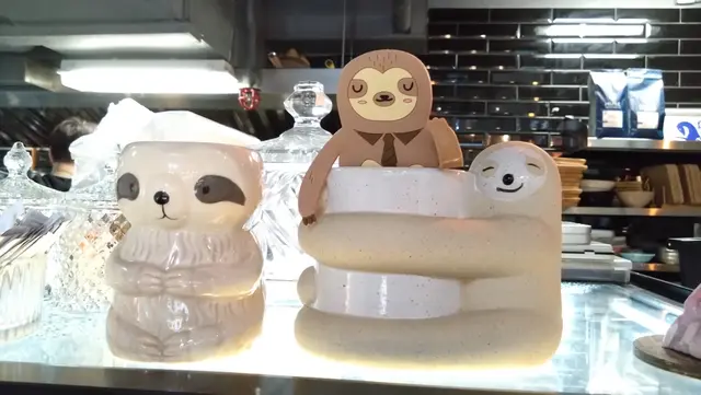 店內遍佈四周角落，也找到樹懶蹤跡