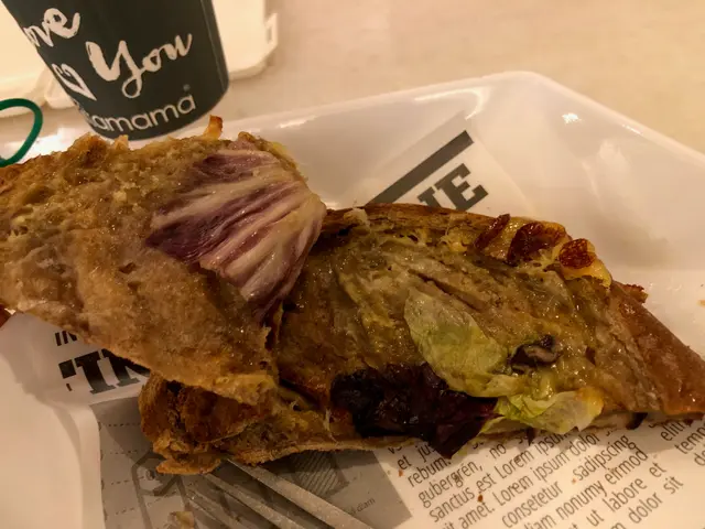 蘑菇溶岩芝士牛肝菌汁帕尼 (panini) 内餡一覧